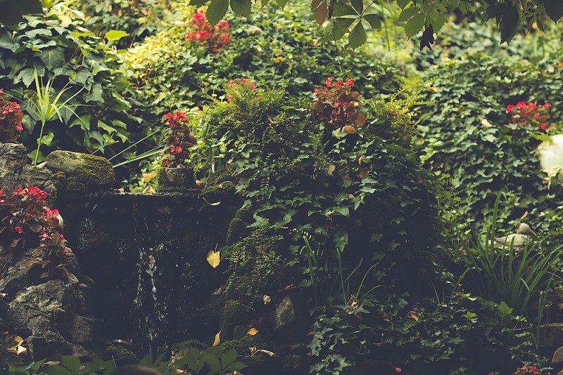 Aleksandra & Milos Wedding